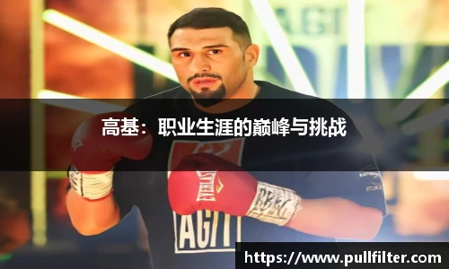 高基：职业生涯的巅峰与挑战