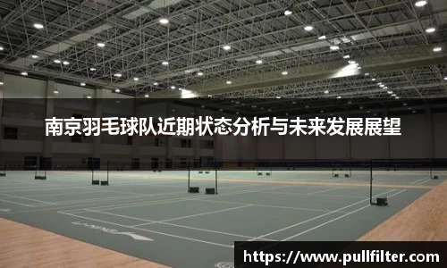 南京羽毛球队近期状态分析与未来发展展望